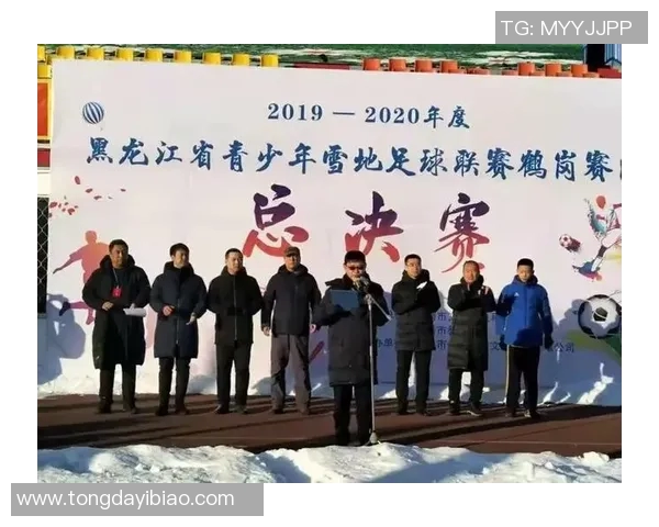 萝北县新闻足球比赛精彩直播全程回顾与赛后分析