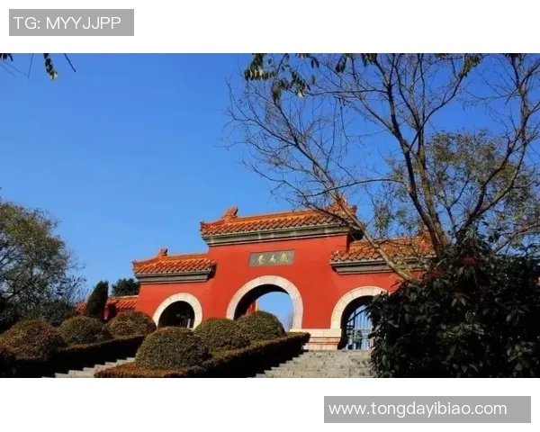 探索塔猜亚的魅力与历史：揭开这座城市的文化面纱与自然风光